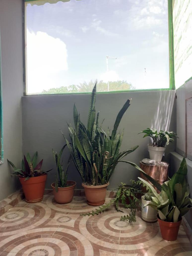 タラファルOld Houseアパートメント エクステリア 写真